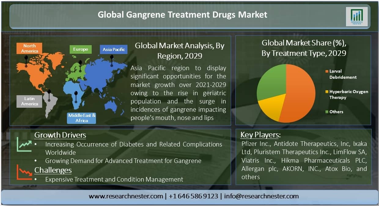 Gangrene Treatment Market Overview